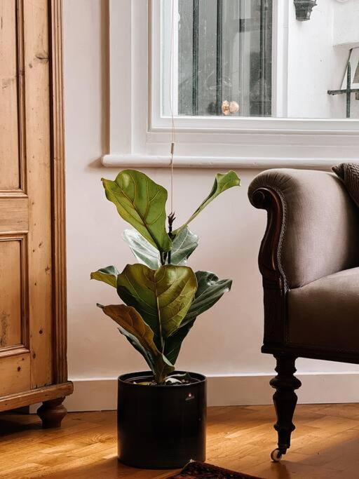 Stunning Victorian Mansion Apartment - Hosted By Agf Property - Free Parking Upon Request Hove Exterior foto